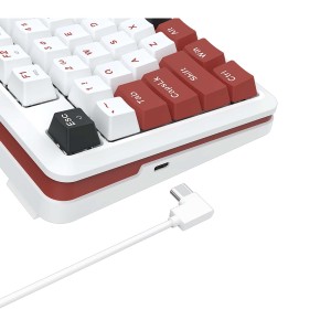 کیبورد گیمینگ مکانیکال با سیم ردراگون مدل Stormhunter K721 WRB RGB